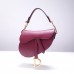 Dior saddle 25.5*20*6.5cm gold red leather