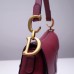 Dior saddle 25.5*20*6.5cm gold red leather