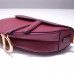 Dior saddle 25.5*20*6.5cm gold red leather