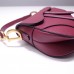 Dior saddle 25.5*20*6.5cm gold red leather