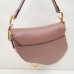 Dior saddle 25.5*20*6.5cm gold beige leather