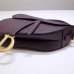 Dior saddle 25.5*20*6.5cm gold brown purple leather