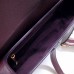 Dior saddle 25.5*20*6.5cm gold brown purple leather