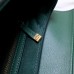 Dior saddle 25.5*20*6.5cm gold green leather