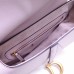 Dior saddle 25.5*20*6.5cm gold pink leather