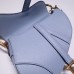 Dior saddle 25.5*20*6.5cm gold blue leather