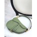 Dior saddle 25.5*20*6.5cm gold green leather