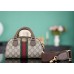 Gucci GG Ophidia mini 21x12x10cm