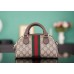 Gucci GG Ophidia mini 21x12x10cm