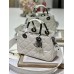 Dior LADY DIOR 95.22   31×31×11cm white