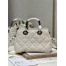 Dior LADY DIOR 95.22   31×31×11cm white