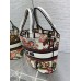 Dior  23ss butterfly 27*20*8cm