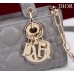 Dior Lady D-Joy super mini 16.5*10*6cm grey