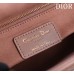 Dior Lady D-Joy 20*16*8cm pink