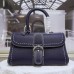 DELVAUX Brillant  Surpiqué Rodéo Calf Size 28*12*16Cm