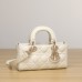 Dior Lady Dior D-Joy 22cm white