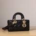 Dior Lady Dior D Joy 22cm 