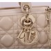 Dior lady dior D Joy lambskin 22cm