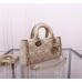 Dior lady dior D Joy lambskin 22cm