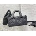 Dior lady dior D Joy lambskin 22cm