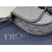 Dior Gallop  20.5 x 16 x 5cm