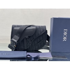 Dior saddle 24 x 17.5 x 5cm