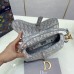 Dior saddle 25cm 