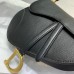 Dior saddle  25cm leather 