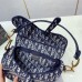 Dior  saddle bag  25cm