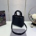 Dior Lady Dior 24cm