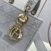 Dior D-lite Lady Dior 24/20/11 cm