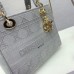 Dior D-lite Lady Dior 24/20/11 cm