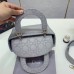 Dior D-lite Lady Dior 24/20/11 cm