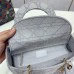 Dior D-lite Lady Dior 24/20/11 cm