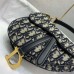 Dior saddle bag 20cm