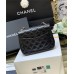 Chanel classic flap mini CF 17cm 