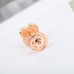 Van Cleef & Arpels Earstuds best replica 