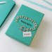 Tiffany chain bracelet best replica 