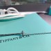 Tiffany chain bracelet best replica 