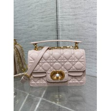 Dior new caro 2024 22*8*14cm