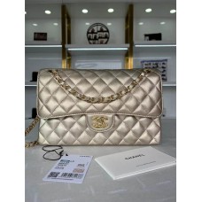 Chanel classic flap 25cm 2024 new