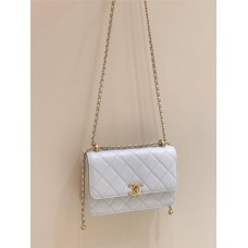 Chanel AP2649  Size 22x14.5x8cm