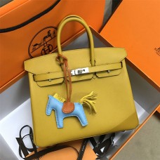 Hermes Birkin 25cm  2024 New