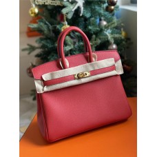 Hermes Birkin 25 togo 2024 New